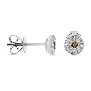 Prima Brown Diamond Stud Earring