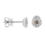 Prima Brown Diamond Stud Earring