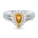 Prima Diamond Pear Halo Eng Ring